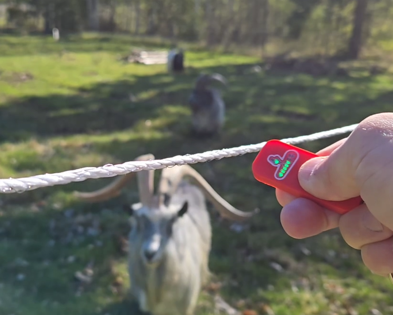 How to Check Electric Fence Voltage Fast