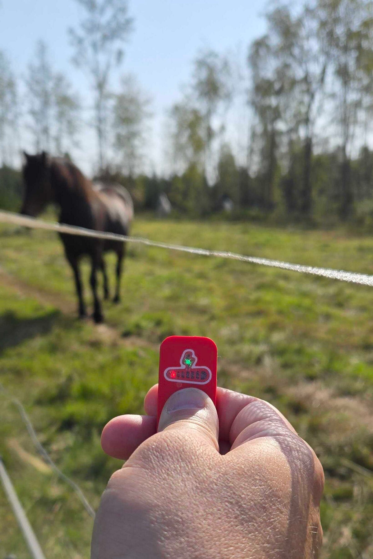 Assurez-vous que votre clôture fonctionne avant que vos animaux ne s'échappent